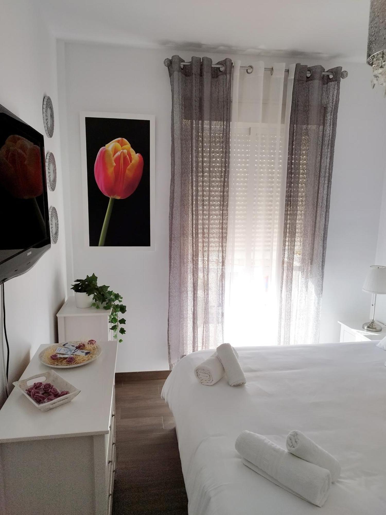 Hostal Casa Blanca Seville Exterior photo